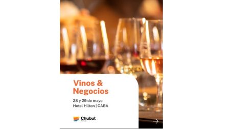Chubut estará presente en la Expo Vinos & Negocios BA 2025