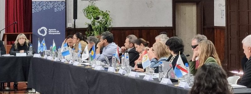 Chubut formó parte de asamblea del Consejo Federal de Discapacidad
