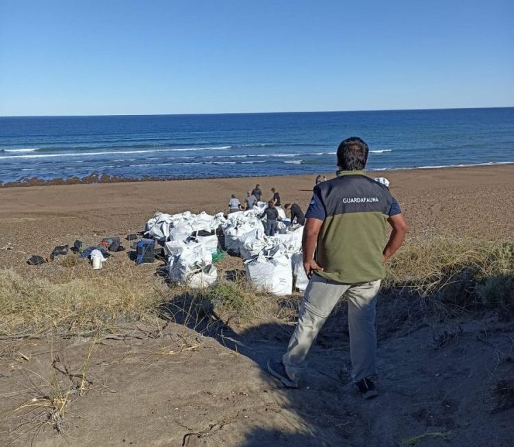 Los trabajos se efectuaron en dos etapas, recolectándose un total de 60 bolsones