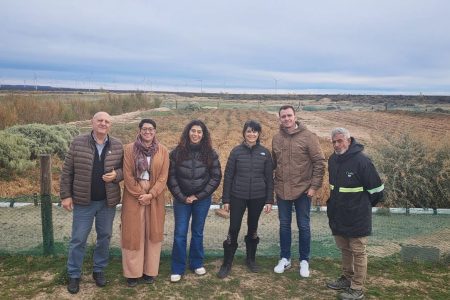 Rawson apuesta por la salicornia para desarrollo productivo