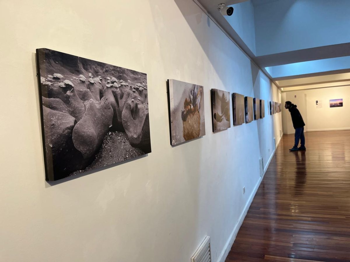 Viviendo Arte