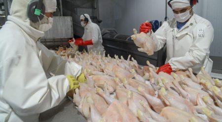argentina reabre el mercado de Japón para carne aviar