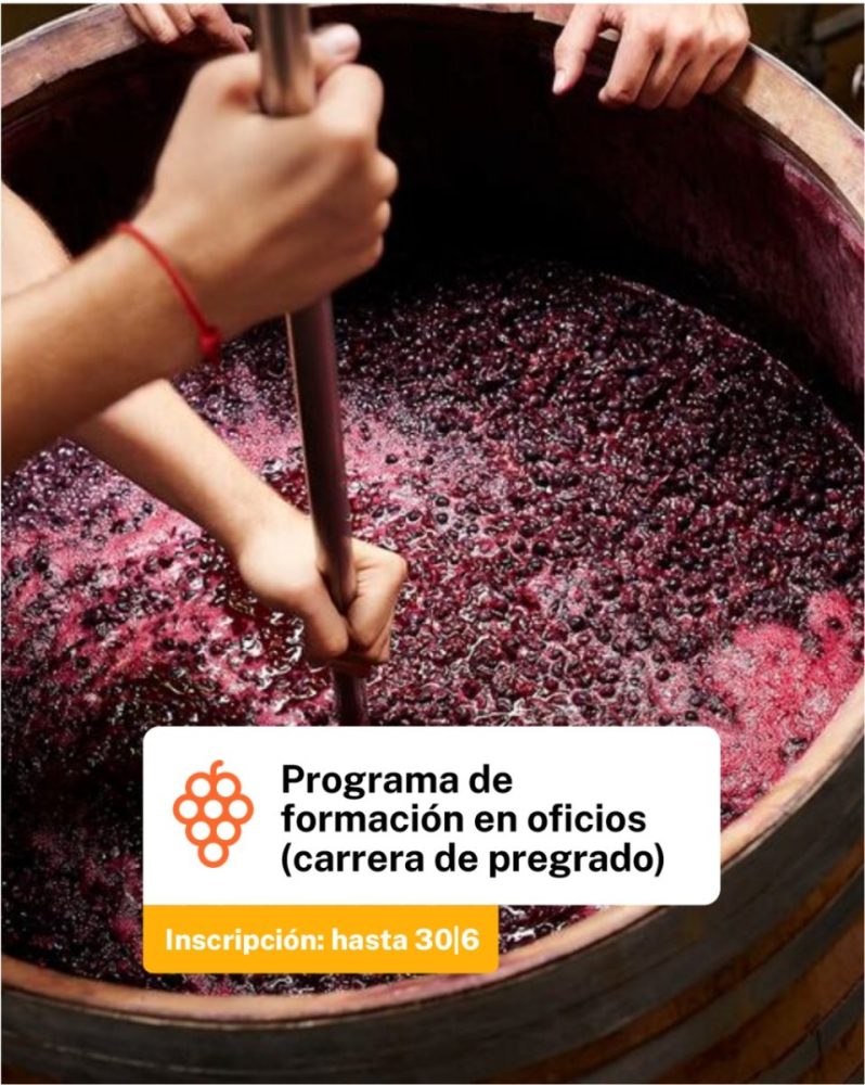 formación vitivinícola CFI Chubut