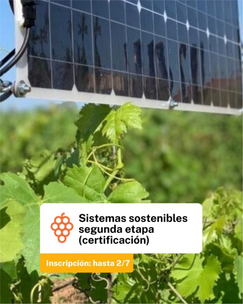 formación vitivinícola CFI Chubut