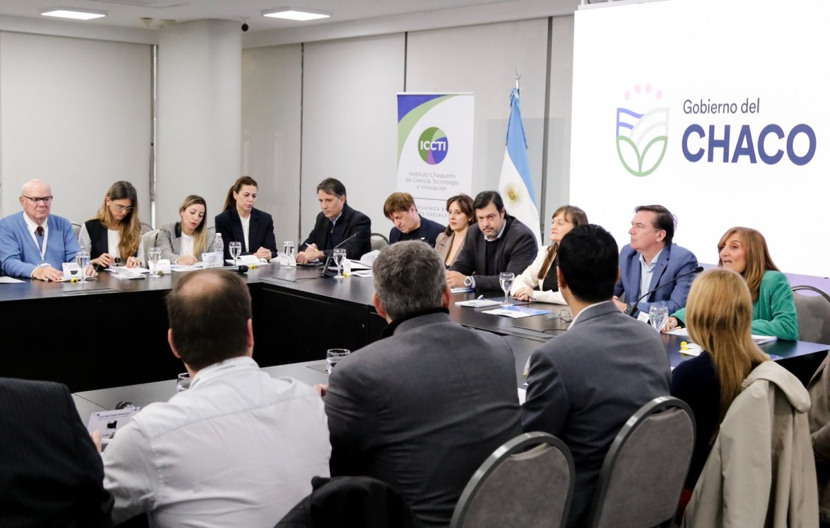 Chubut en la Asamblea del COFECyT 2025