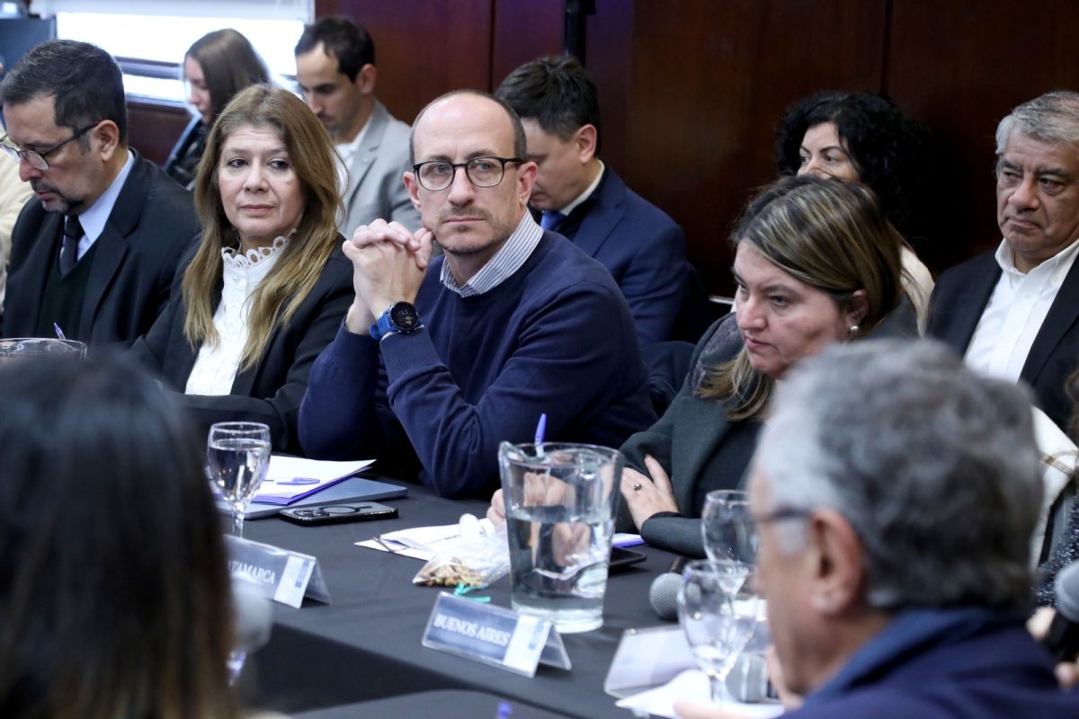 Consejo Federal de Salud