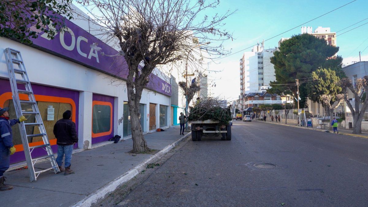 Poda prioriza reclamos vecinales y avenidas principales