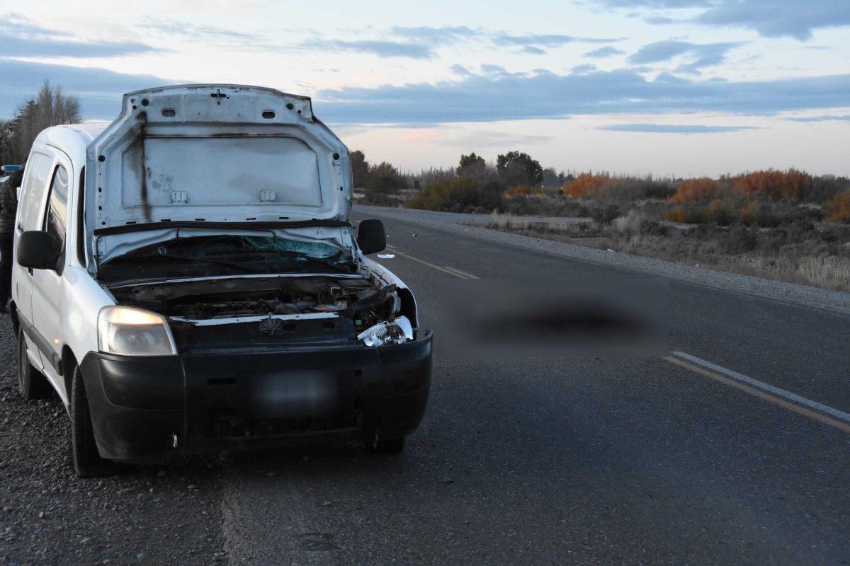 Hombre murió atropellado en Ruta 3, Trelew