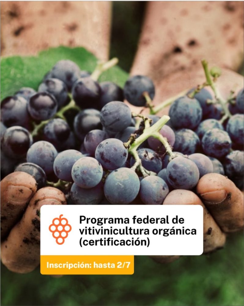 formación vitivinícola CFI Chubut