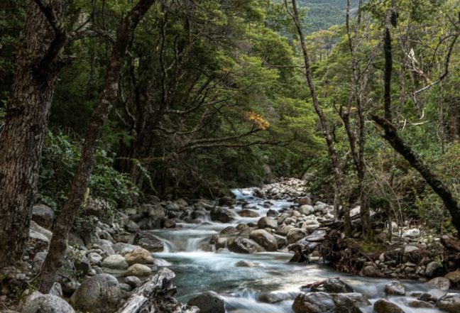Lago pueblo patagonia
