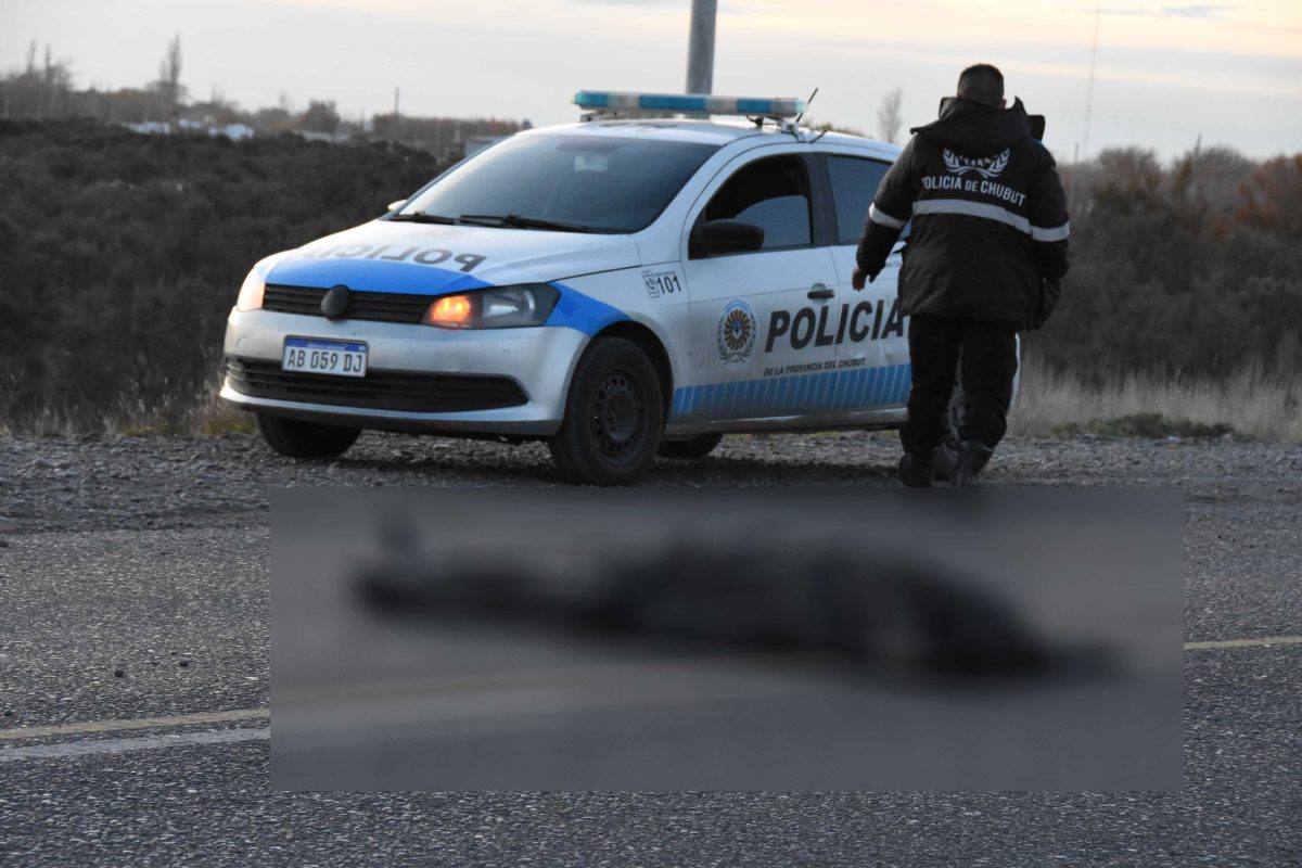 Hombre murió atropellado en Ruta 3, Trelew