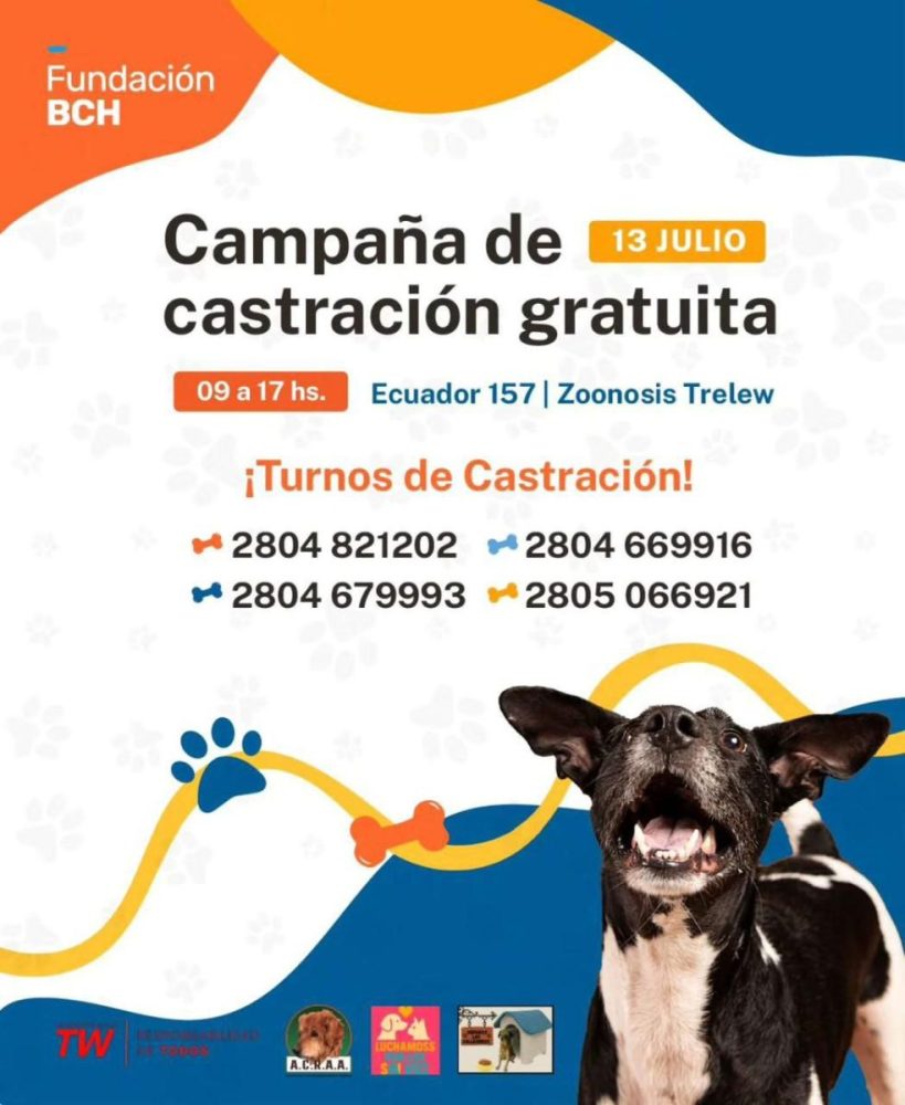 Mascotas 