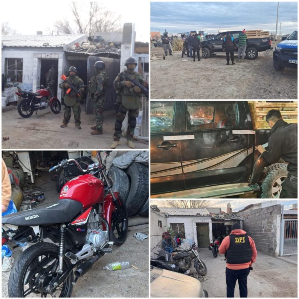 Allanamientos por maltrato animal en Rawson