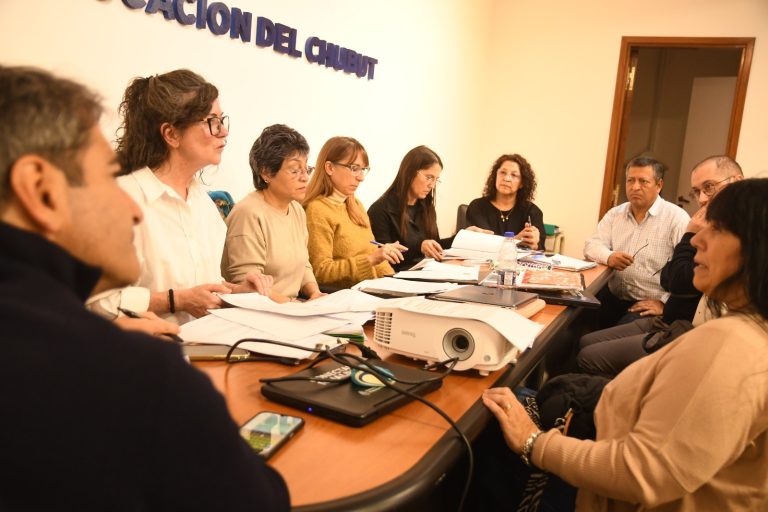 Diseños curriculares en educación superior