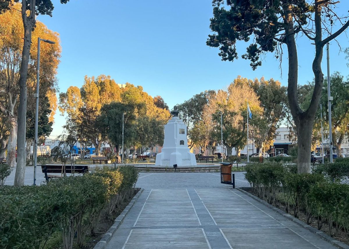 Poda en Plaza San Martín