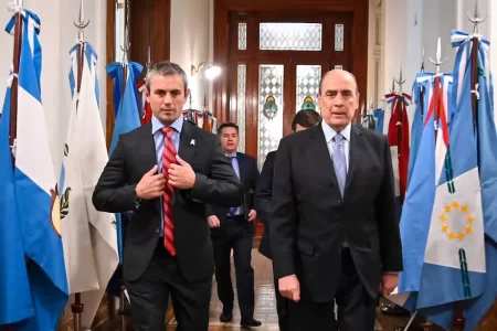vetos de Milei en Diputados