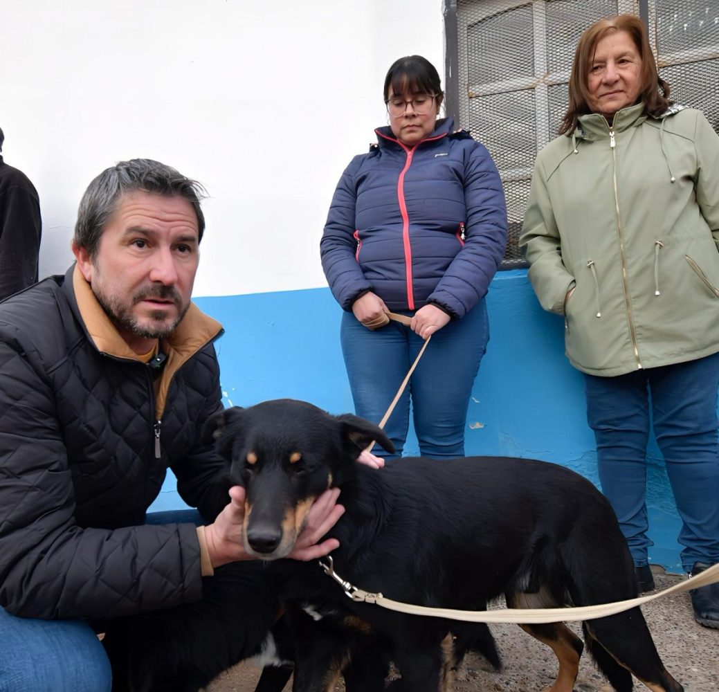 Gerardo Merino Trelew castraciones gratuitas