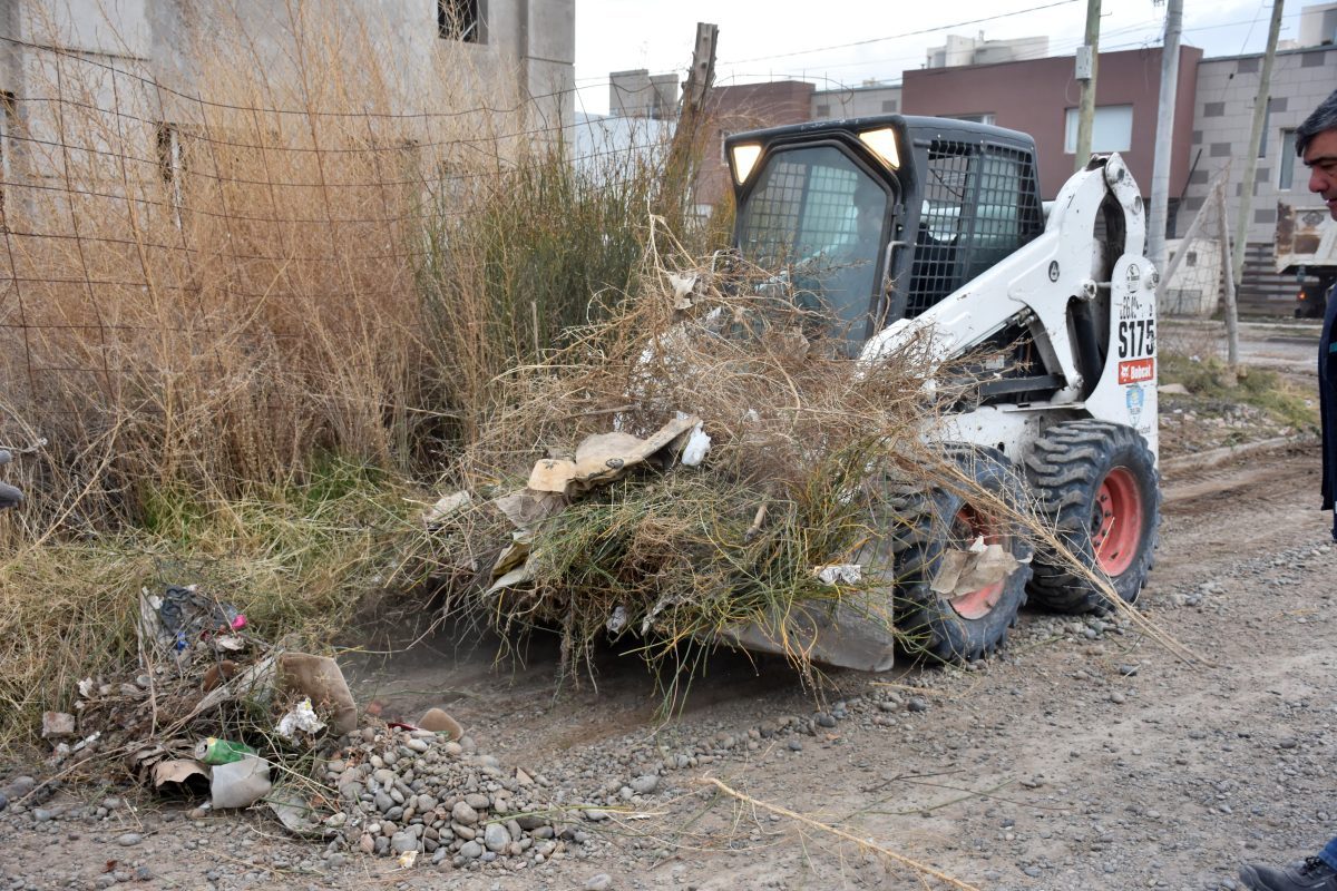 Mantenimiento urbano en Santa Mónica e Illia