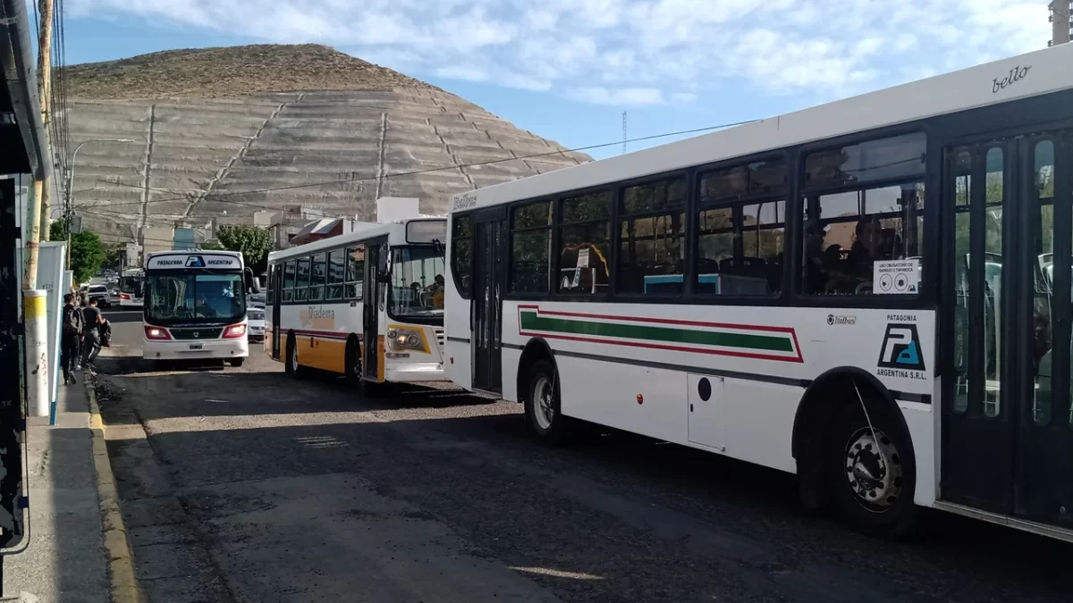 Línea 6 en Comodoro: nueva propuesta de transporte público