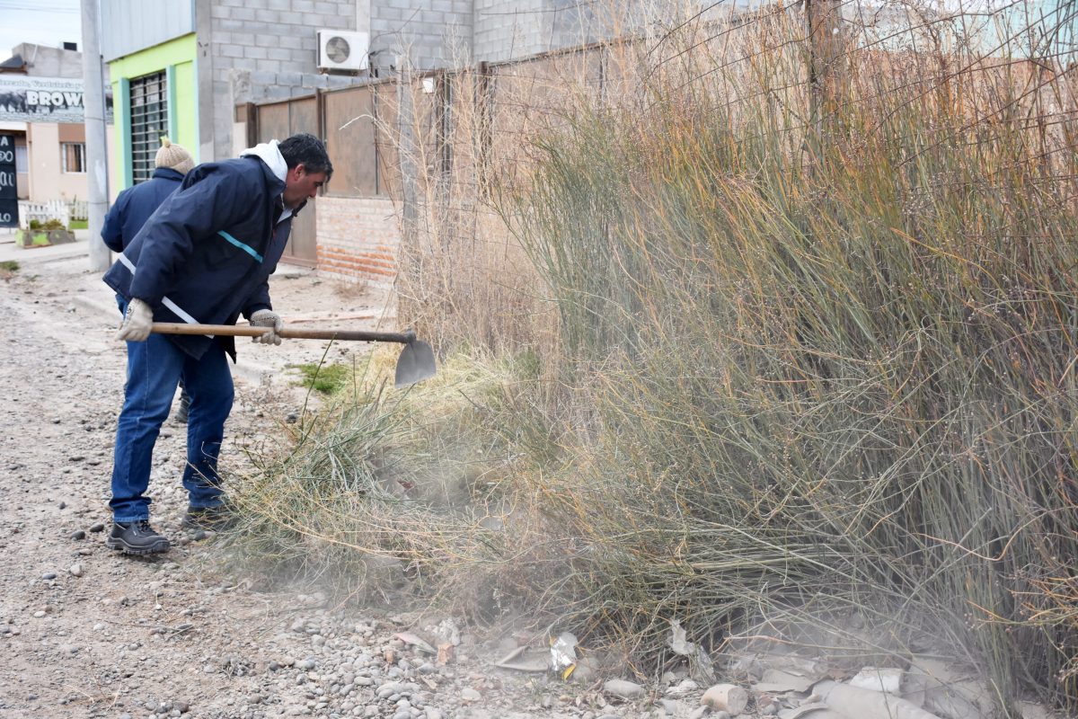 Mantenimiento urbano en Santa Mónica e Illia