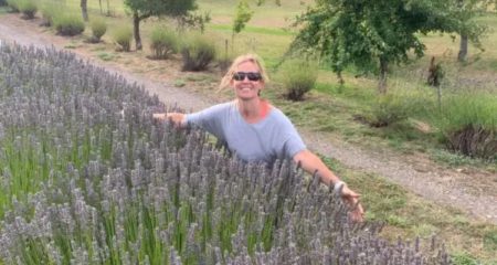 Plantar lavandas en la Patagonia