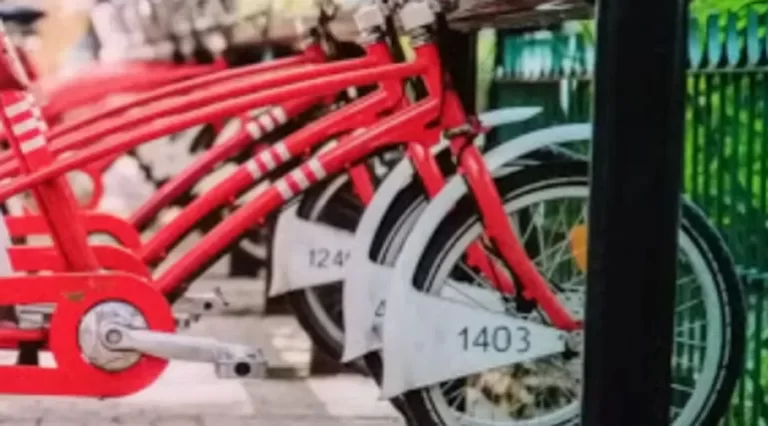 sistema gratuito de bicicletas públicas en Comodoro