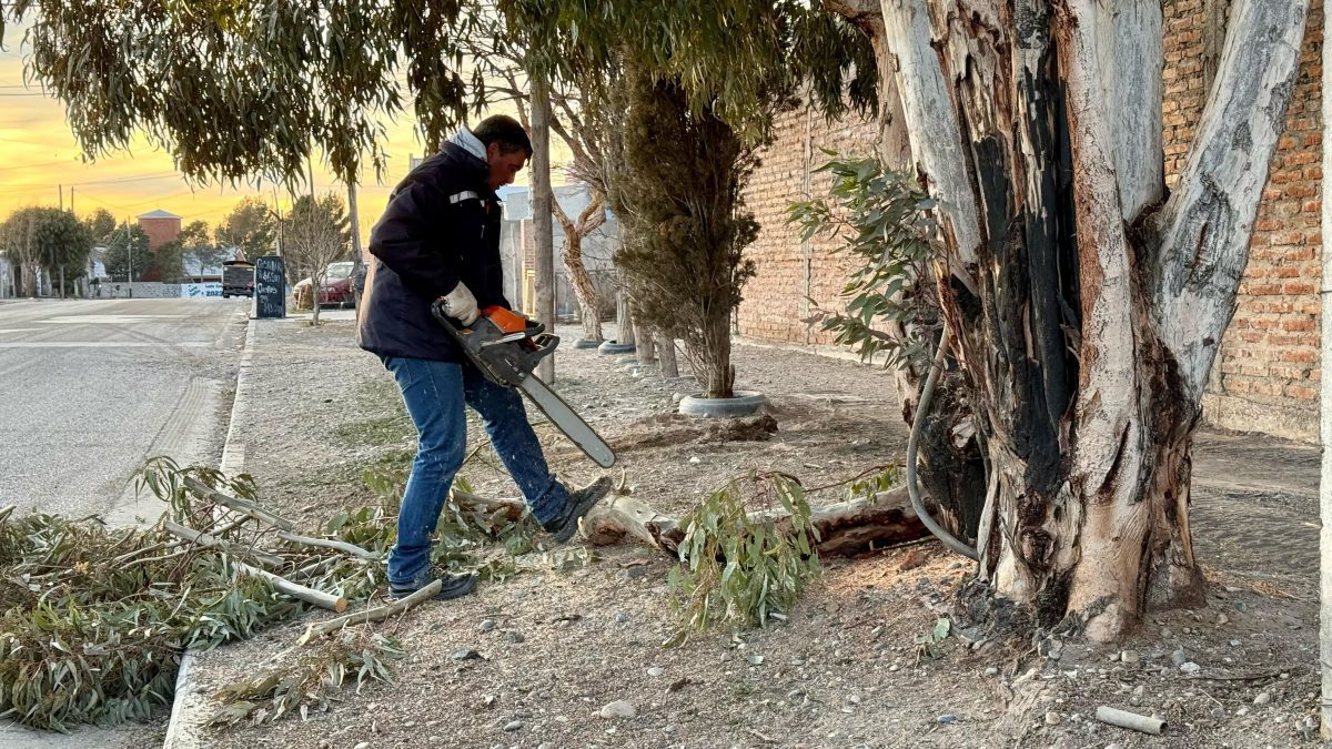 El Municipio refuerza su presencia territorial con el mantenimiento de espacios públicos y calles en Primera Junta