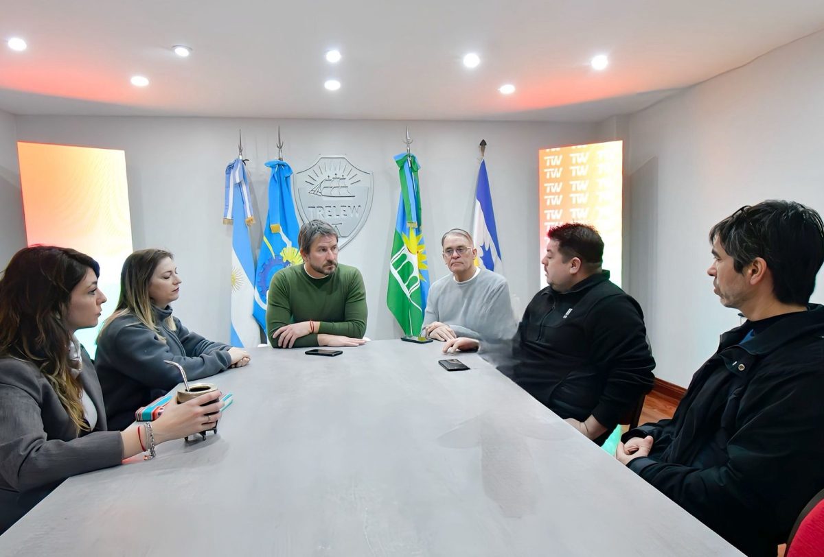 reunion vialidad