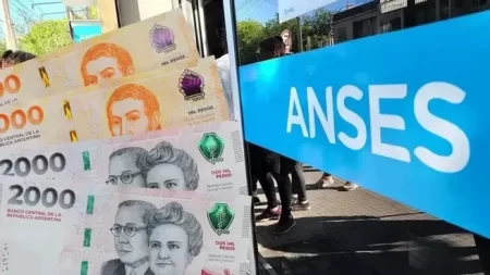 ANSES paga asignación única en agosto
