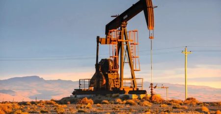 Chubut con récord de exportaciones crecieron 9,8% en el primer semestre