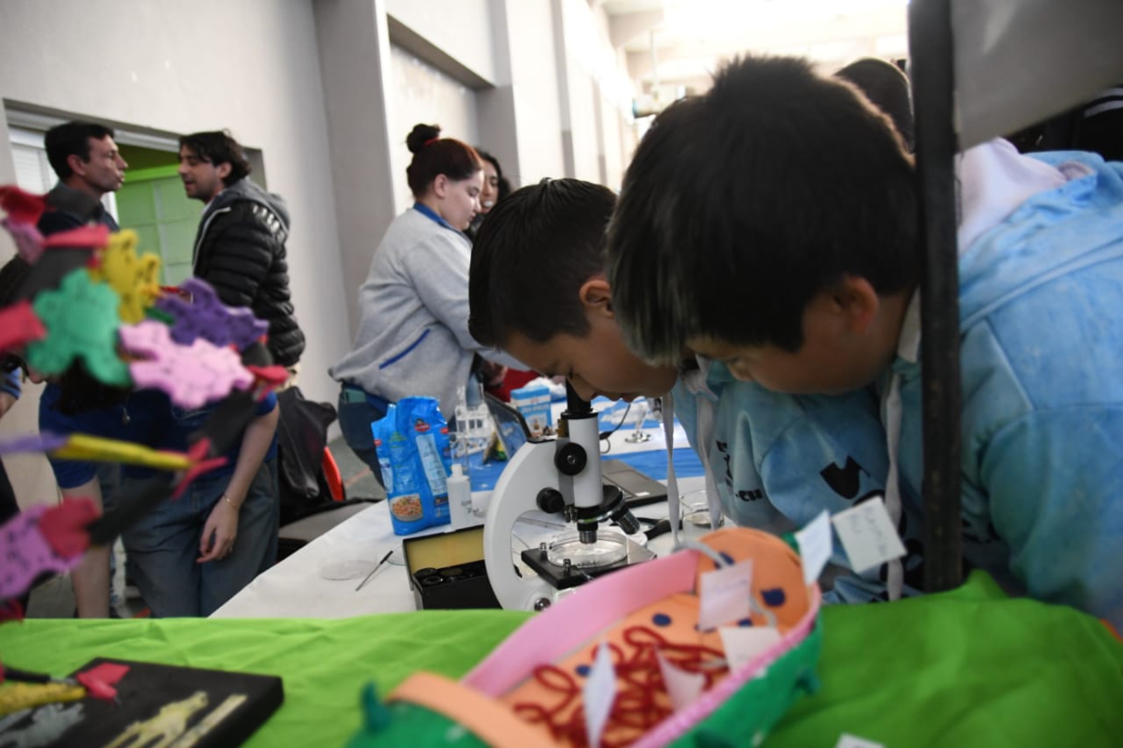 Feria de Educación Chubut 2025