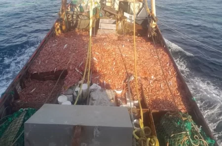 reactivación de la flota tangonera