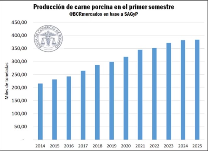Producción porcina marcó récord tras 15 años de crecimiento 