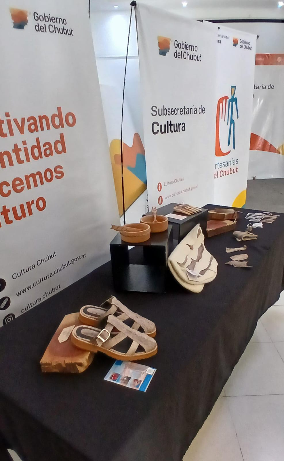 Provincia entregó certificados de la primera capacitación inclusiva en curtido de piel de pescado en Rawson 