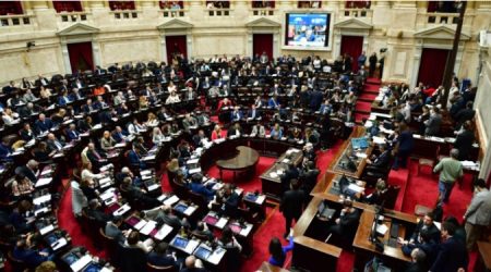 interpelación Congreso ANDIS