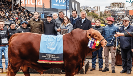 Récord por toro Brangus en Argentina