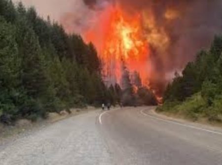 Chubut: los incendios ya arrasaron 22 mil hectáreas y alertan que los bosques nativos podrían no recuperarse