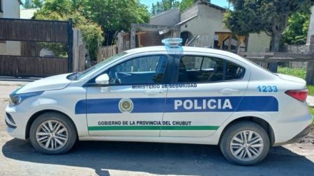 Robó y quedó detenido