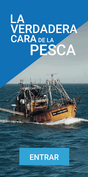 Banner_pesca_chubut_300_x_600_px