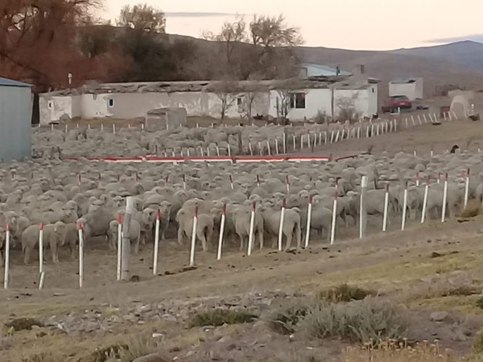 El 99 por ciento de los productores no estamos a favor de la minería