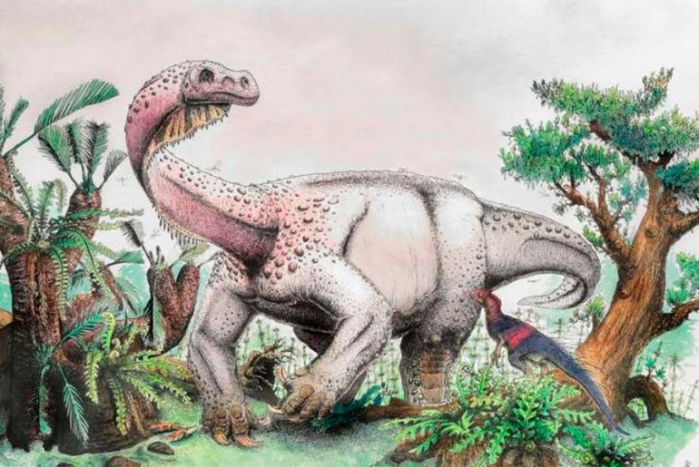 “Trueno gigante”: Expertos descubren dinosaurio de 12.000 kilos en Sudáfrica