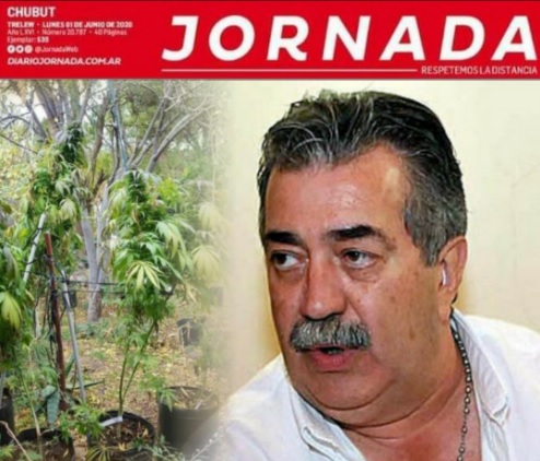 Se viene la resolución del juez en la causa del “bosque de marihuana” en la mansión de los González