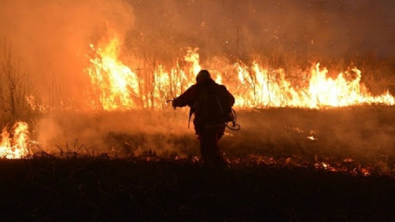 incendios forestales