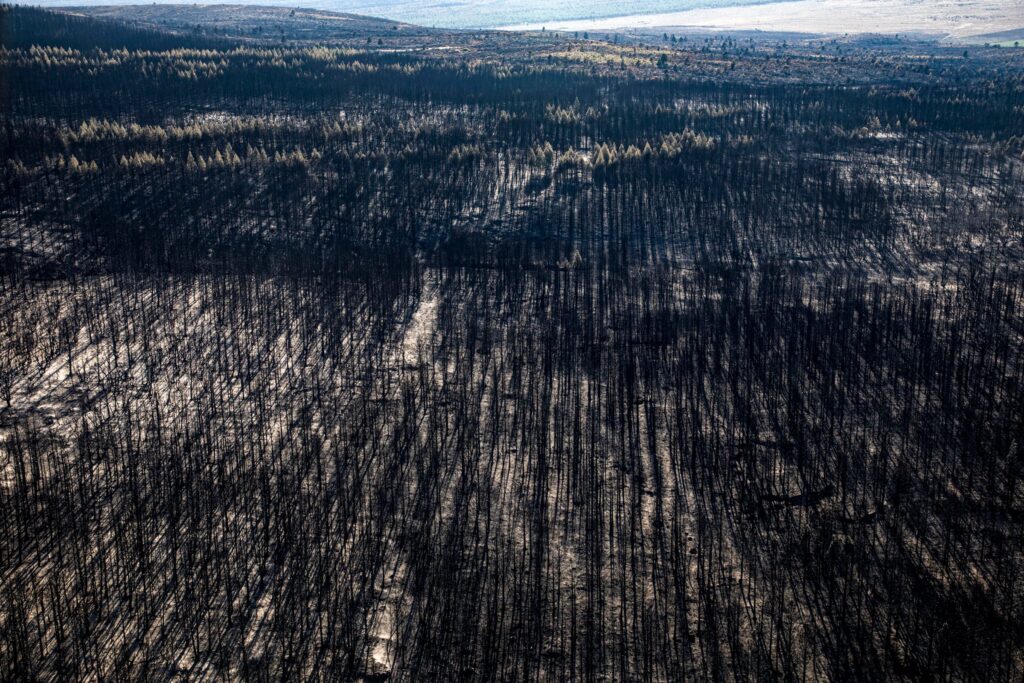 Greenpeace Argentina