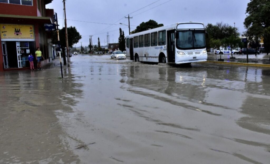 Madryn