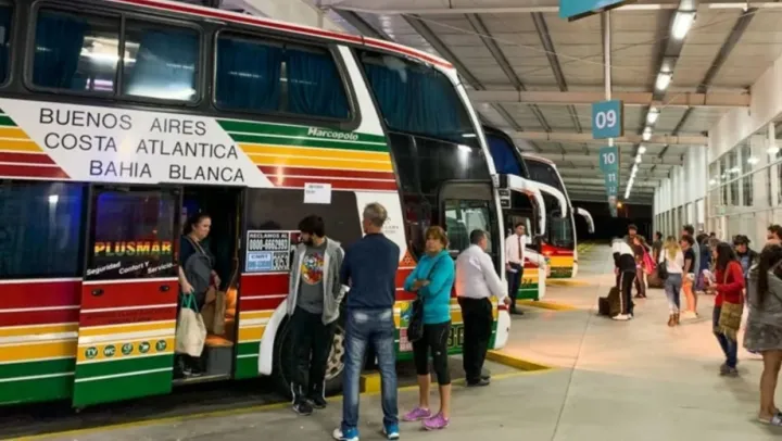 desregulación del transporte automotor