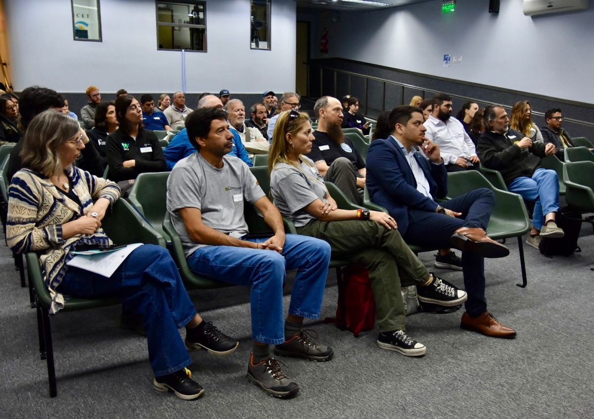 Gobierno del Chubut lidera limpieza costera