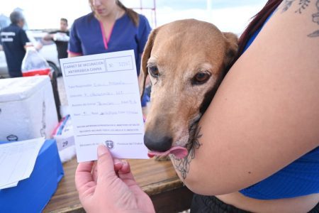 Dueña lleva a su mascota a la campaña de cuidado responsable de animales