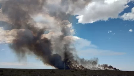 Incendio de pastizales