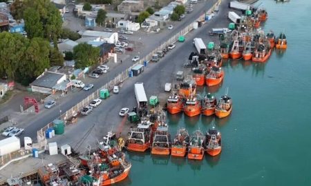 Pesca de langostinos en Rawson